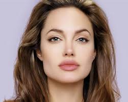 angelina jolie bio