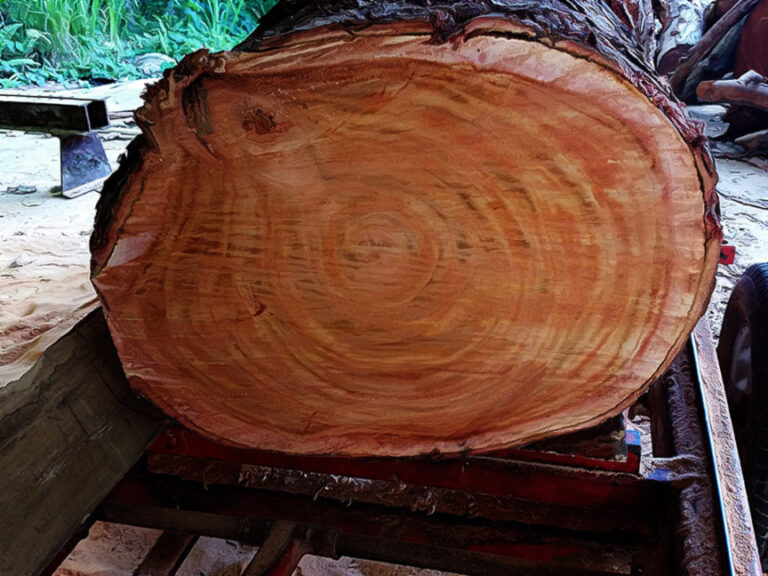 How to Identify Real Mahogany Wood in Furniture World Magazine 2024