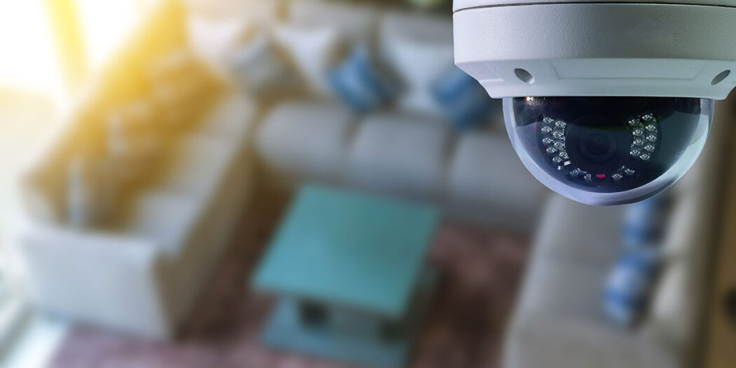 Invisible Watch Dogs How To Disguise Your Ring Camera For Enhanced