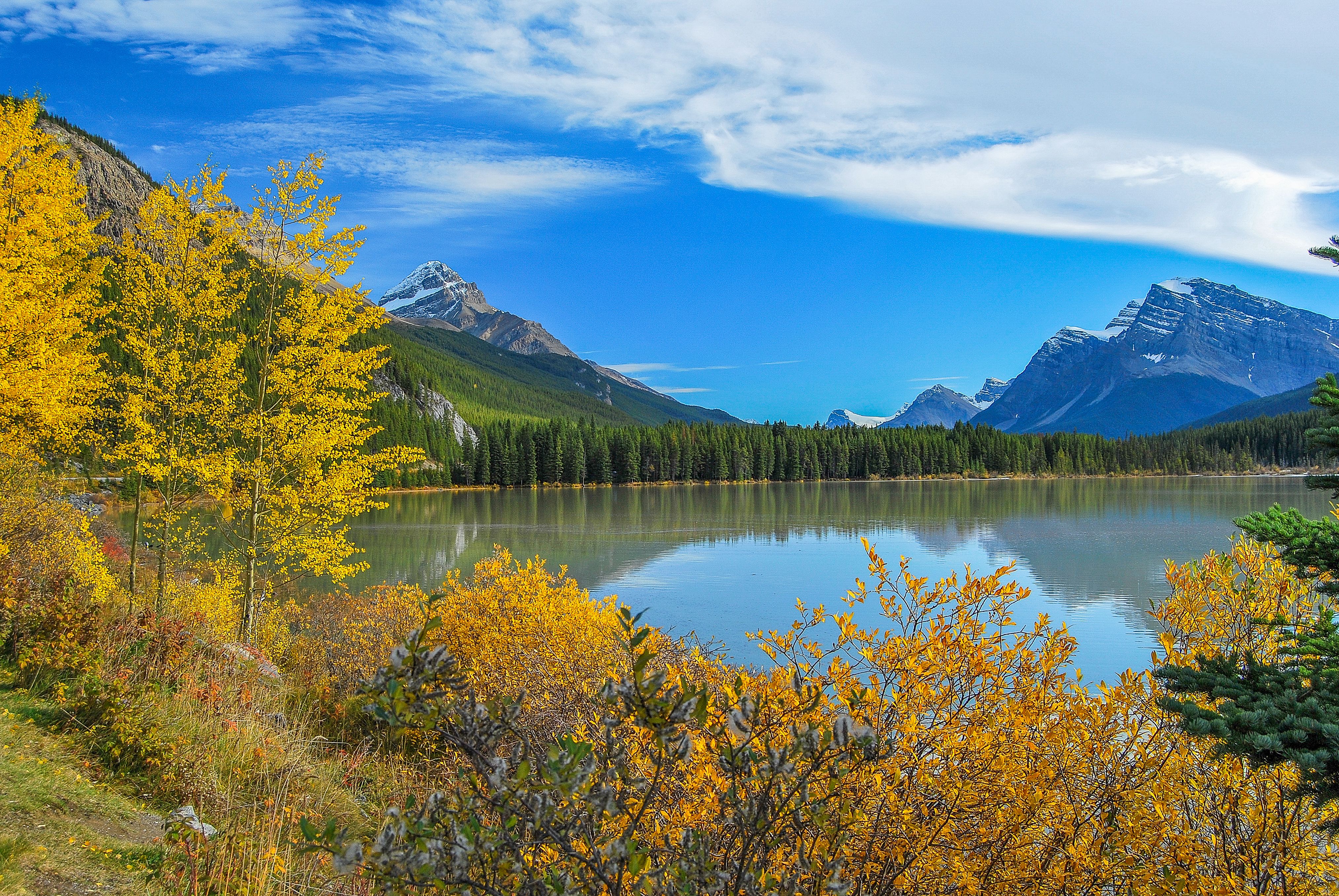 Autumn foliage and mountains reflected in a lake at Banff National Park during a Canada fall cruise